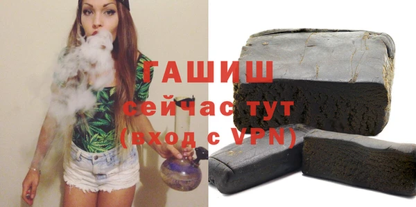 apvp Ельня