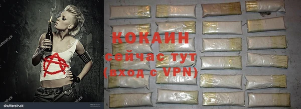 apvp Ельня
