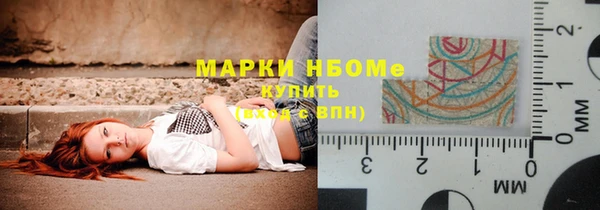 СК Елизово