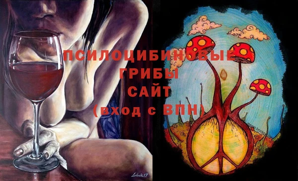 СК Елизово