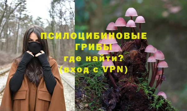 apvp Ельня