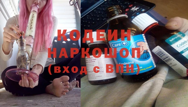 СК Елизово