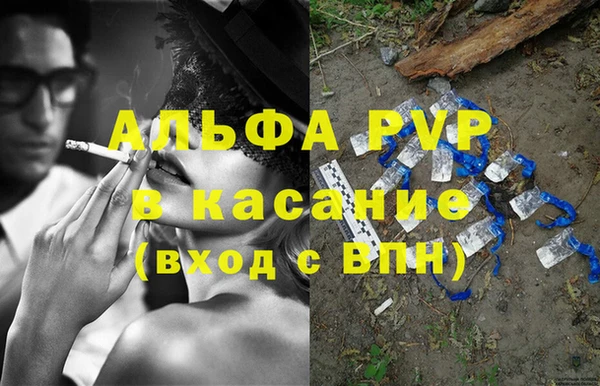 СК Елизово
