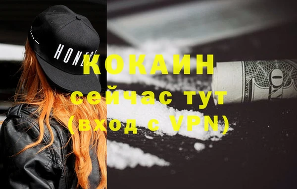 apvp Ельня