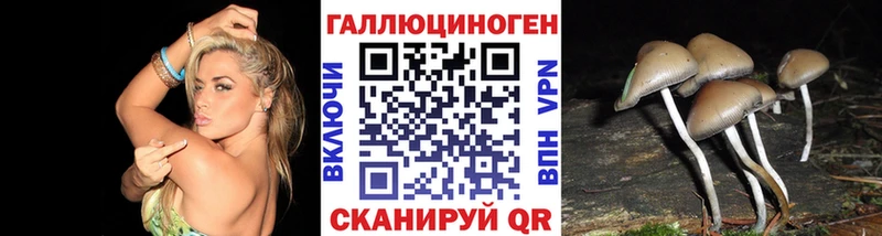 Псилоцибиновые грибы мицелий Константиновск